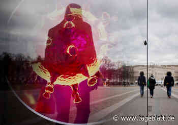 Mehr als 20 Millionen Infektionen seit Pandemie-Beginn – und nun? - Landkreis Stade - Tageblatt-online