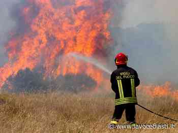Incendio sterpaglie coinvolge un bosco a Canelli. Maxi intervento dei vigili del fuoco - LaVoceDiAsti.it
