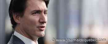 Les juges partisans de Justin Trudeau