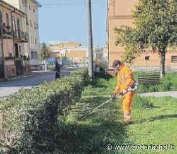 Sora città pulita Di Stefano posta interventi verde pioggia like - ciociariaoggi.it