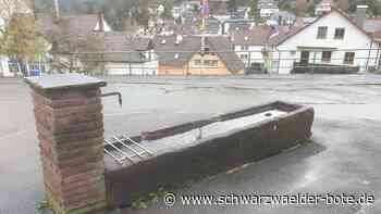 Brunnen sprudelt wieder - Stadt hat zwischendurch am Schramberger Heideckle Wasser abgestellt - Schwarzwälder Bote