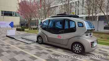 Neue Idee für Bahnstrecke - Ein Mini-Hybrid für Schiltach - Schramberg? - Schwarzwälder Bote