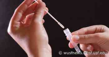Coronavirus FAQ: Testing confuses me! When to do it? Is 'negative' always reliable? - WUSF News