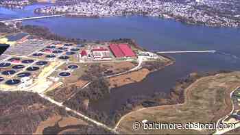 Baltimore DPW Defends Operations Of Back Water Wastewater Treatment Plant, Says Recent Sample Was Not Raw Sewage - CBS Baltimore