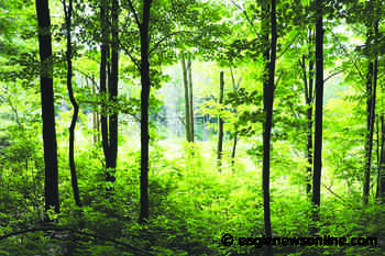 Baltimore Woods expands – Eagle News Online - Eagle News Online