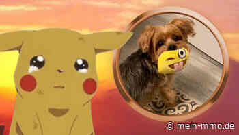 Trainer aus Pokémon GO verliert seinen treuen Hund, jetzt erweist er ihm im Spiel die letzte Ehre - MeinMMO