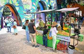 Habrá Mercadito Verde este domingo en Parque Chapultepec de Cuernavaca - Quadratín - Quadratín Morelos
