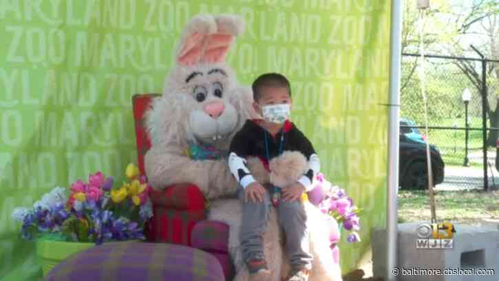 Bunny Bonanzoo Returns to Maryland Zoo for Easter Weekend