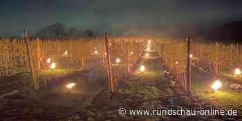 Später Winter im Kreis Euskirchen: Frostkerzen wärmten Beerensträucher - Kölnische Rundschau