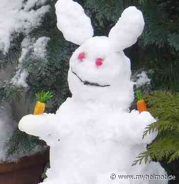 Das wird nicht sein ! - Lutherstadt Wittenberg - myheimat.de - myheimat.de