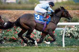 Native Trail stays perfect in Craven Stakes and remains early favorite for 2000 Guineas - Daily Racing Form