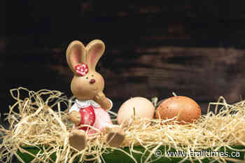 Looking for some free family fun in the Trail area this weekend? – Trail Daily Times - Trail Times