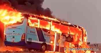 Autobús colisiona al sur de El Cairo en Egipto, deja al menos 10 muertos entre ellos cinco turistas - Diario Presente