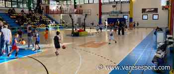 Il BasketBall Gallarate si prepara al Garbosi, Besio: “Torneo speciale”, Rizzo: “Evento che crea cultura” - VareseSport