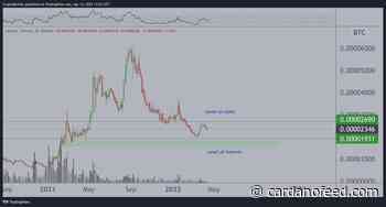 Crypto Analyst Examines Cardano (ADA), Cosmos (ATOM) and Three Other Altcoins, Reveals What To Watch Out For - Cardano Feed