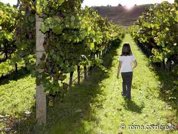 Nella guerra per la Villa di Fiorano il primo round va ai principi Boncompagni - Corriere Roma
