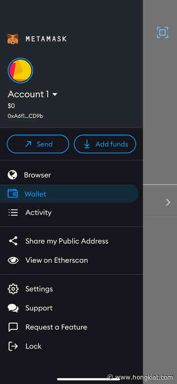 How to Sync MetaMask Mobile App With Chrome Extension