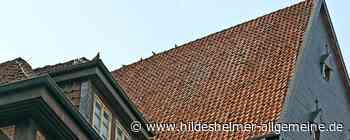 Streifenmuster auf Knochenhaueramtshaus in Hildesheim: Was steckt dahinter? - www.hildesheimer-allgemeine.de