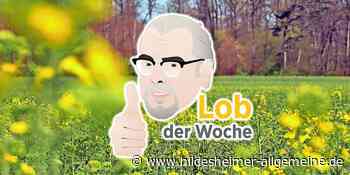 Blendender Service im Herzen von Hildesheim - www.hildesheimer-allgemeine.de