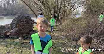 Wieder wilder Müll in Lampertheim - Echo Online
