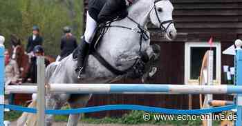 Jubiläumsturnier mit 700 Nennungen in Lampertheim - Echo Online