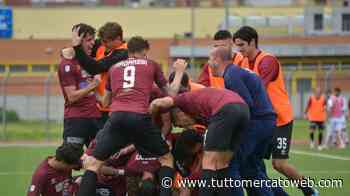 Pontedera, nuova proprietà in arrivo? Il Sindaco Franconi: "Qualcosa c'è, ma niente è deciso" - TUTTO mercato WEB