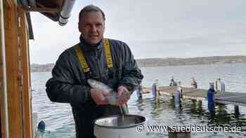 SZ-Serie - Süddeutsche Zeitung - SZ.de