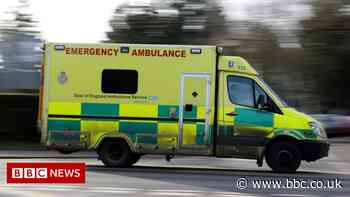 NHS East of England ambulances face '20 hour delays'