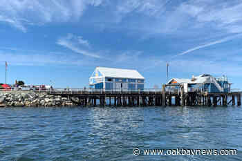 Sidney renews leases for Beacon Wharf businesses while raising their rates – Oak Bay News - Oak Bay News