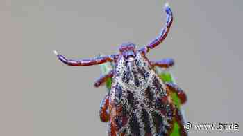 LGL in Erlangen warnt vor Krankheiten durch Zecken - br.de