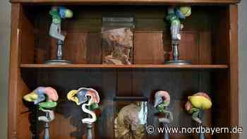 Skelette, Sezierstätten und gespendete Leichname: Seltene Blicke in die Erlanger Anatomie - Nordbayern.de