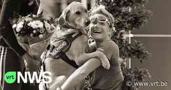 Assistentiehond Zenn van wijlen rolstoelatlete Marieke Vervoort overleden in Diest - VRT NWS