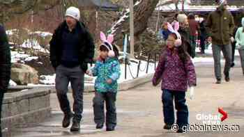 Calgary Zoo hosts Easter Eggstravaganza - Global News