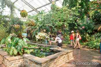 10 of the best things to do in Calgary this long weekend (April 15-17) - Curiocity