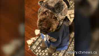 Calgary weather for Thursday, April 14 | CTV News - CTV News Calgary