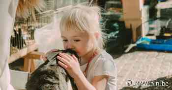 Paashaas bezoekt zondagse dieren- en boerenmarkt | Mol | hln.be - Het Laatste Nieuws