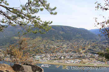 Council needs to commit to support for arts in Nelson as pandemic restrictions wane: Page - The Nelson Daily