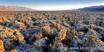 Dürre an der US-Westküste: Wenn der Wein kein Wasser mehr bekommt