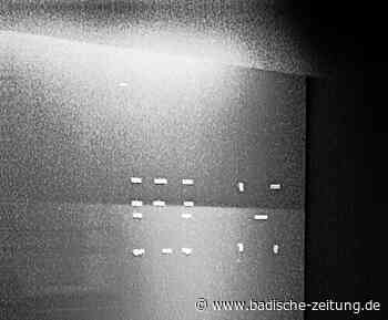 Das Kunsthaus L6 zeigt die „Architektur der Unbeständigkeit“ - Kunst (TICKET) - Badische Zeitung - Badische Zeitung