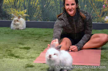 VIDEO: Easter Bunnies invade Langley mall – Aldergrove Star - Aldergrove Star