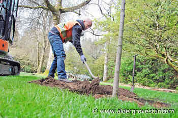 Our View: Worth re-acquainting ourselves with Langley parks – Aldergrove Star - Aldergrove Star