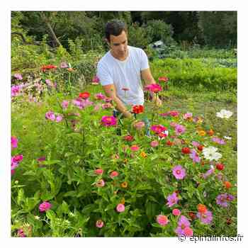Thomas Zix vous propose de semer des fleurs typiques de Lorraine - Epinal infos - Epinal Infos