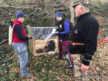 Du tir nature au complexe de Soba à Epinal - Epinal infos - Epinal Infos