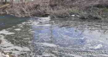 Schiuma nella Parma, l'Arpae: "E' un fenomeno naturale" - Gazzetta di Parma