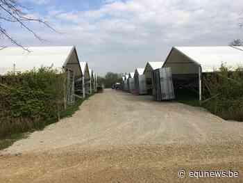 Te weinig inschrijvingen voor Jumping Lummen - Equnews