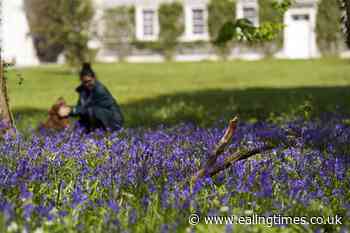Good Friday set to be hottest day of year, experts predict - Ealing Times