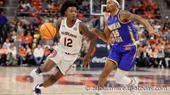 Auburn Basketball: A year in review for Tigers guard Zep Jasper - Auburn Wire