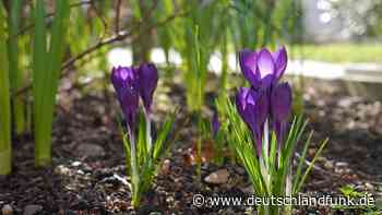 Wetter - Im Norden, Osten und an den Alpen bewölkt mit Regen, sonst meist heiter und trocken - Deutschlandfunk