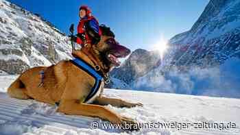 Niedersachsen verlaufen sich in den Alpen – Bergretter helfen - Braunschweiger Zeitung