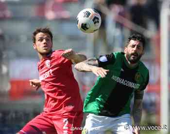 Pagellone Premio Cucconi: è Ghizzardi l'mvp di Carpi-Aglianese - Voce.it